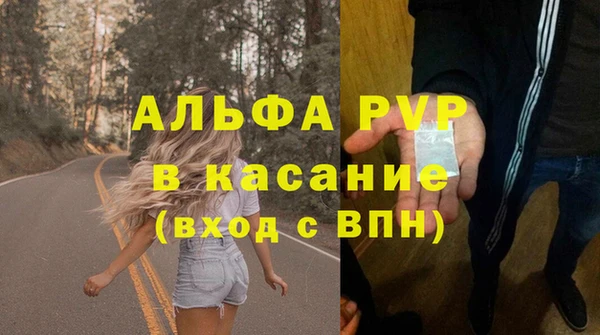 сатива Балахна